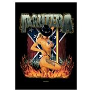 Pantera Girl South Fabric Poster Wall Hanging